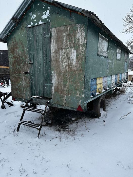 Бджоли бджолопавільйон бджолопакети