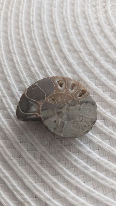 Minerał 5 sztuk  rzadkość