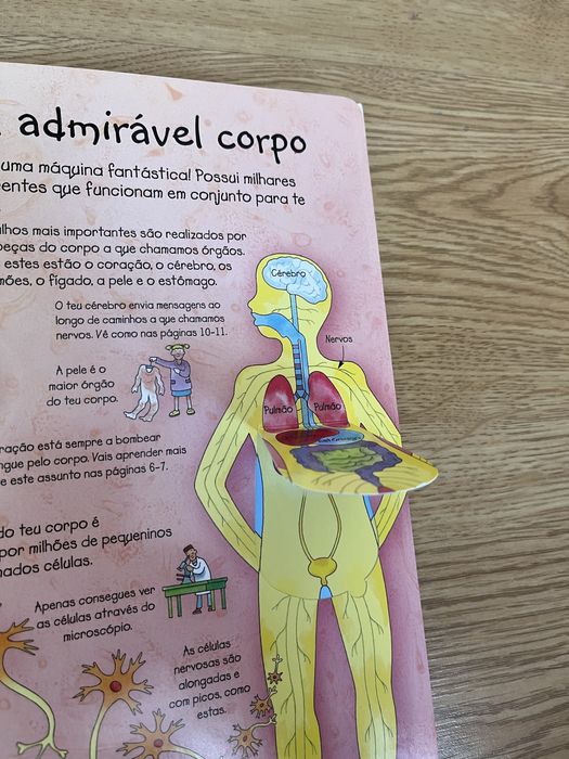 Livro do corpo humano