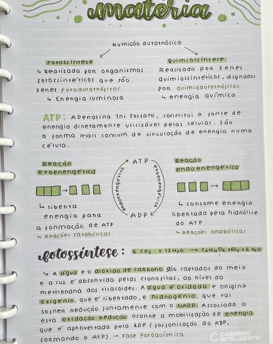 Resumos Biologia e Geologia 10º e 11º para Exame Nacional IAVE 2026