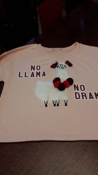 Bluzy dresowe dziewczęce S