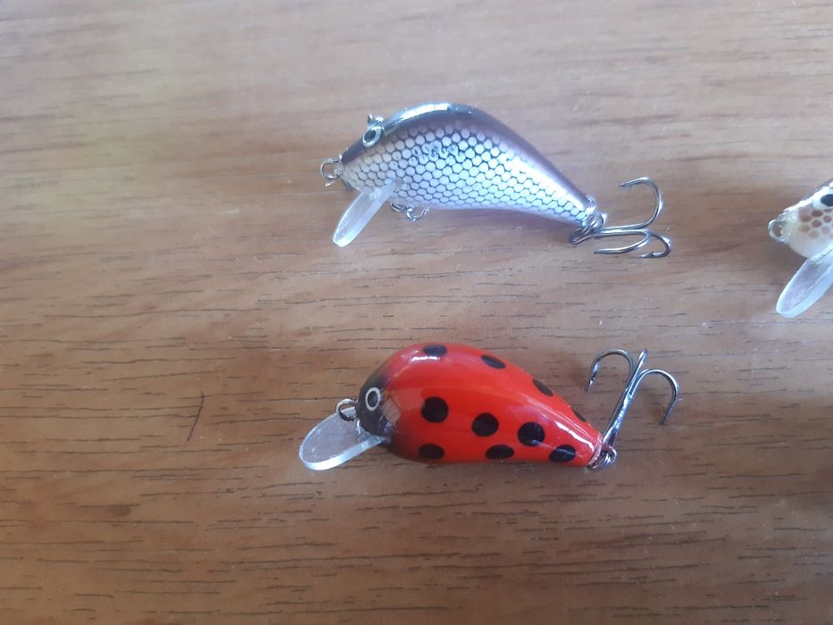 Wobler smużaki    .