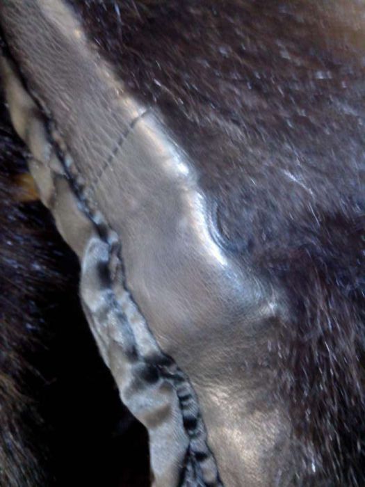 Sam Rone - Casaco em pele e com pelo