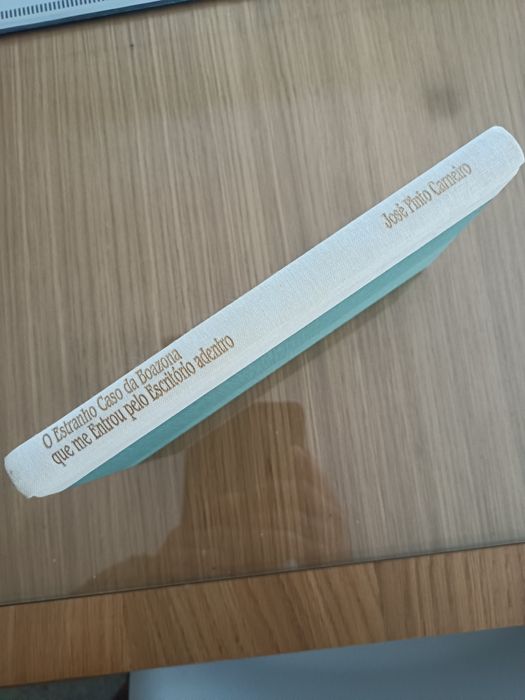 Vendo o Livro O Estranho caso da Boazona que me entrou pelo escritório