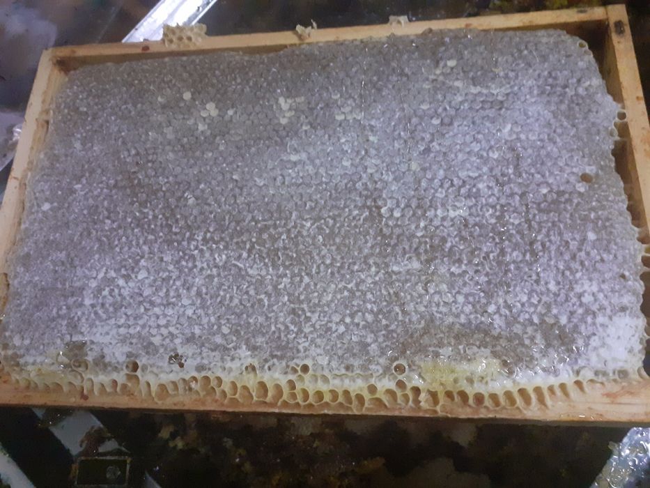 Mel puro . Ofereça e consuma ccc regularidade MEL durante todo o ano,