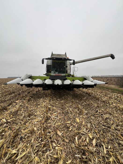 Жатка кукурудзяна Claas Conspeed 8/70 2012