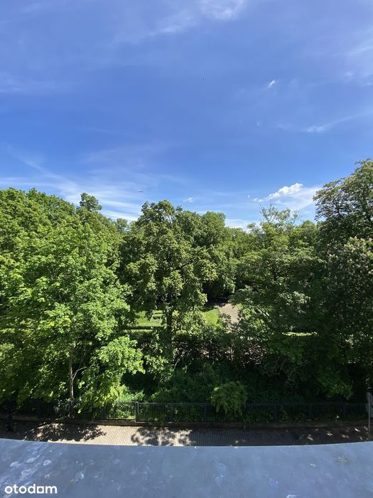 Łazarz mieszkanie kamienica 50m² 3,7m wysokości widok na Park Wilsona