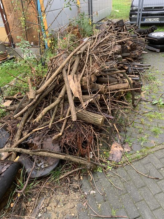 Oddam za darmo drewno to co na zdjęciach