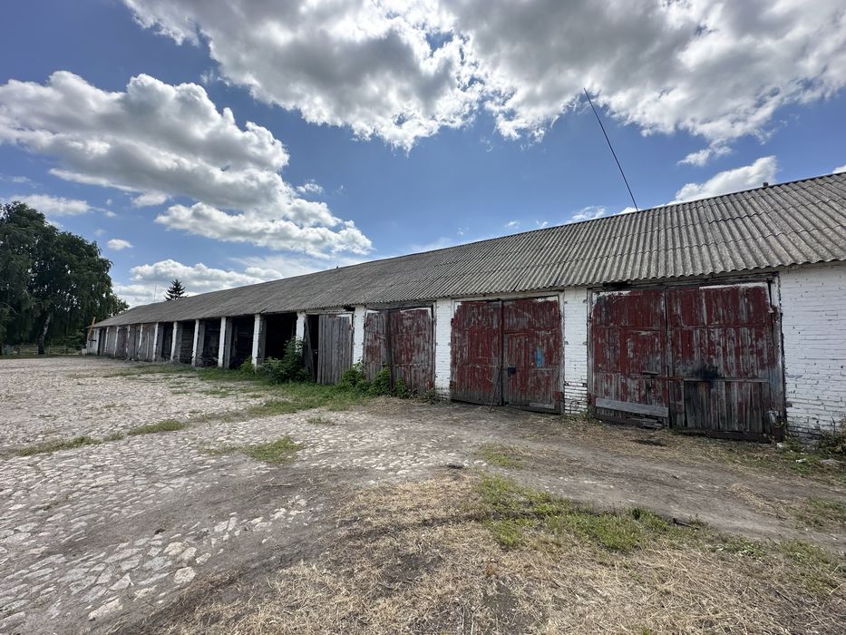 ‼️Продам Ангар, Зерносховище, Склад, с Липовець, Обухівський, Кагарлик