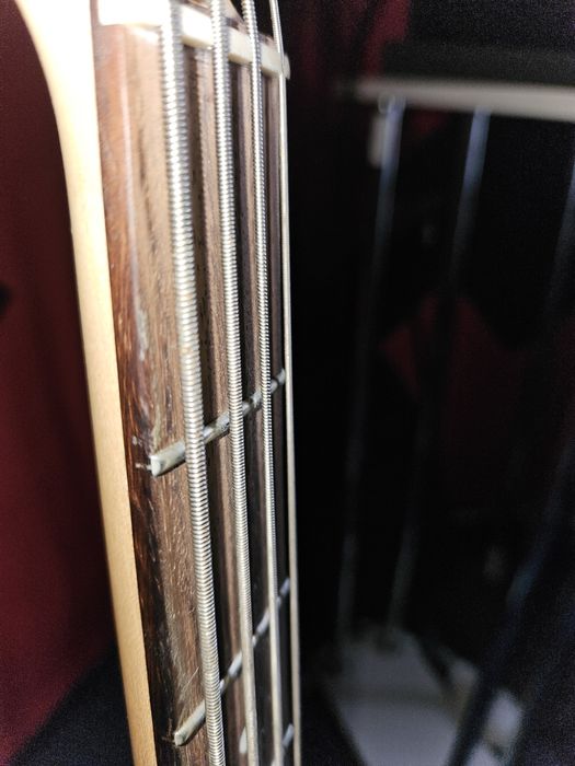 Бас - гитара Fujigen Japan