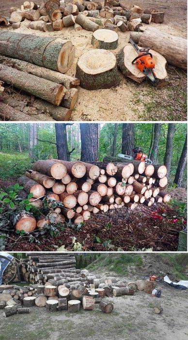 NOWA Piła spalinowa pilarka łańcuhowa 5.7km 58cm³ 2x łańc/prowad+OLEJ