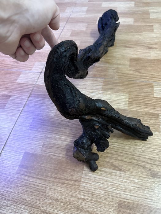 Tronco para aquário