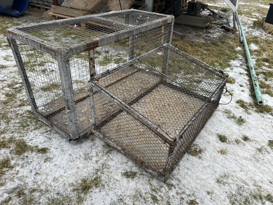 Woliera, wlot, wylot, rafka, rawka, korbel dla gołebi