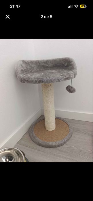 Conjunto para gato