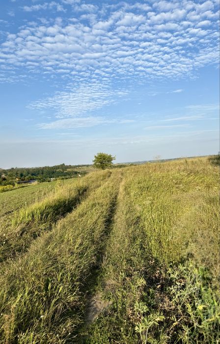 Панорамна Ділянка 70 сот. м. Обухів 3 км. Київ 29км.
