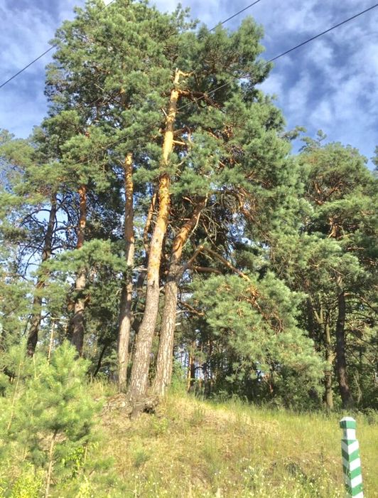 Участок в Конча Заспе, рядом озеро, Голосеевский район, с. Чапаевка