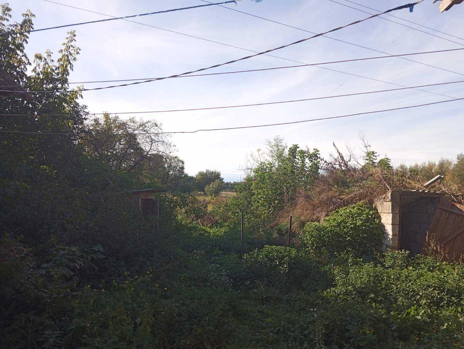 (8) Продам будинок в Широкі Греблі 2741