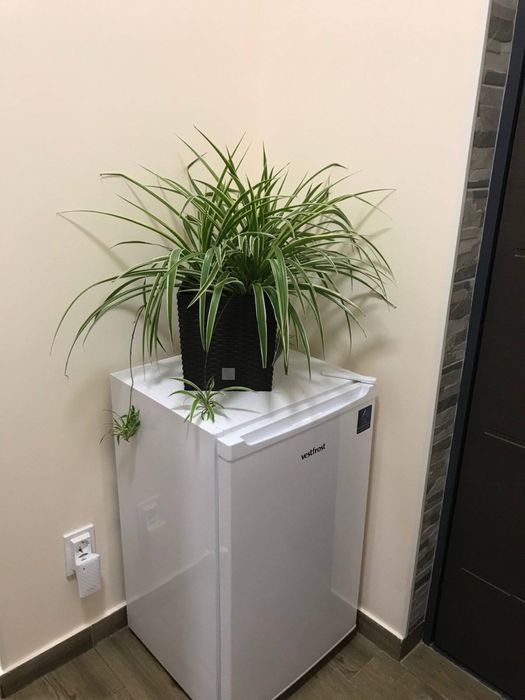 Здам смарт квартиру в старому місті.