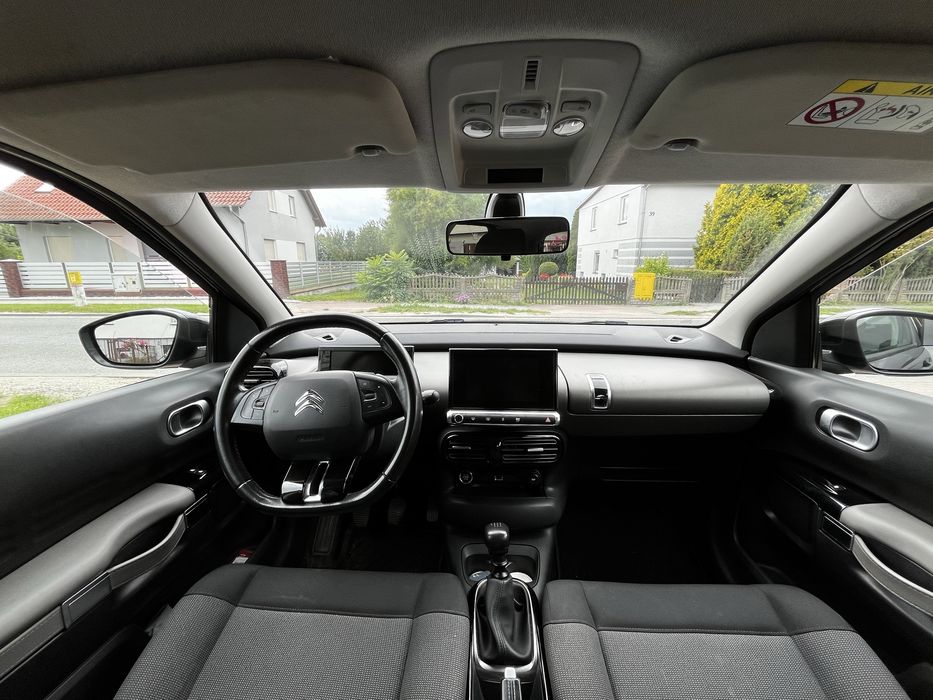 Citronen C4 cactus