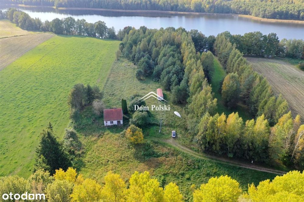Dom – Borki - Więcej