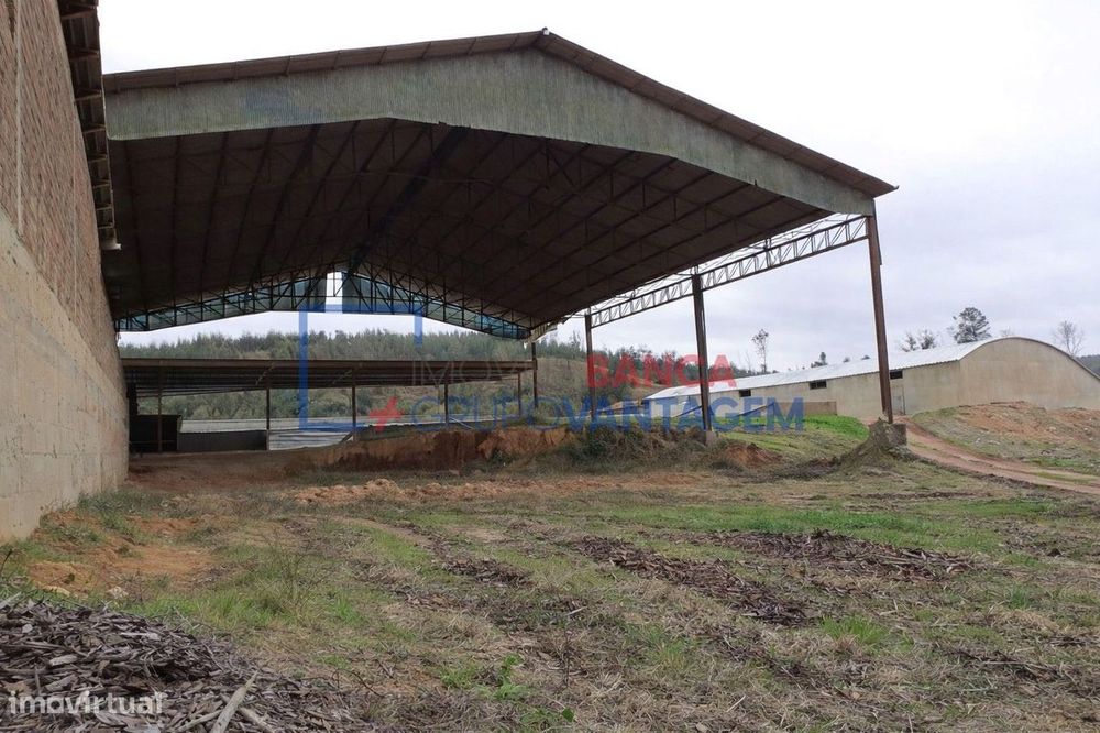 Armazém, para venda, Tábua - Candosa