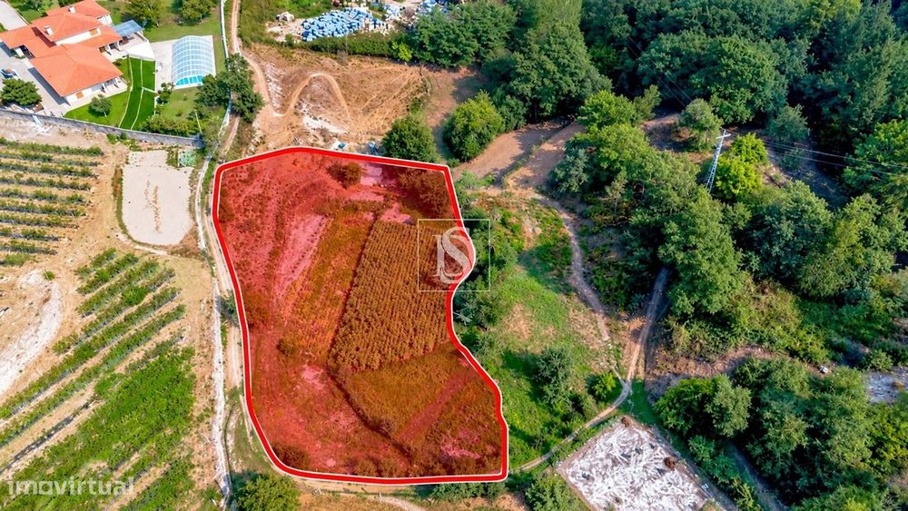 Terreno  Venda em Campelo e Ovil,Baião