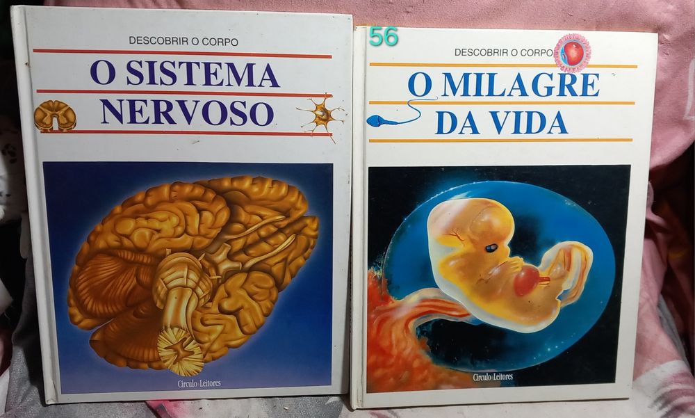 Livros infantis 1 euro cada