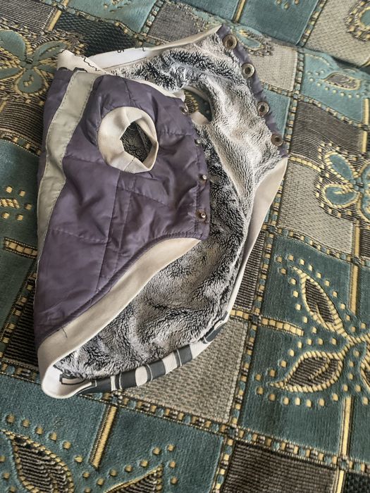 Одаг для чіхуахуа або чи йорчика