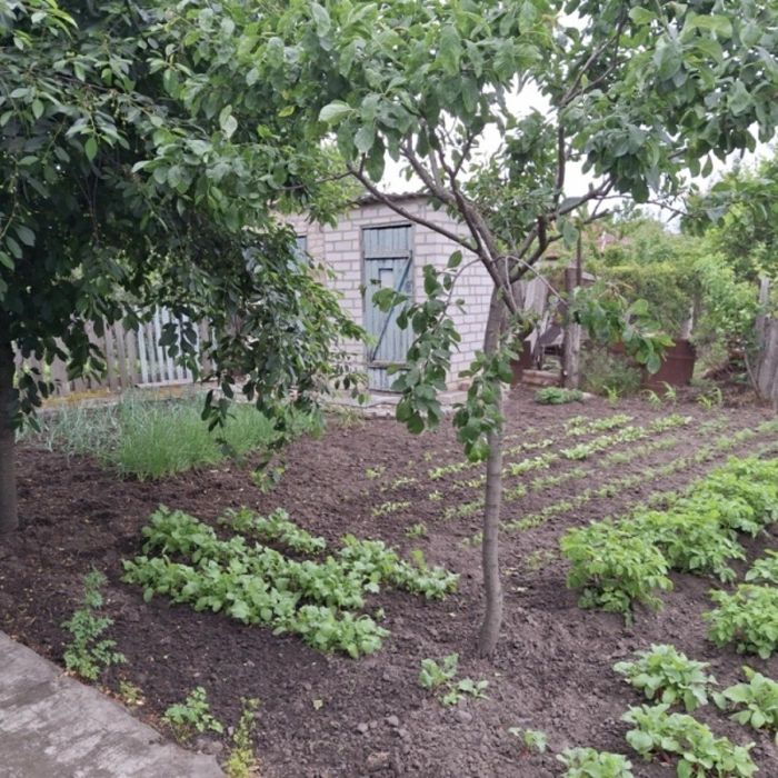 Продам будинок Передова Щитова ж/м Фрунзенський