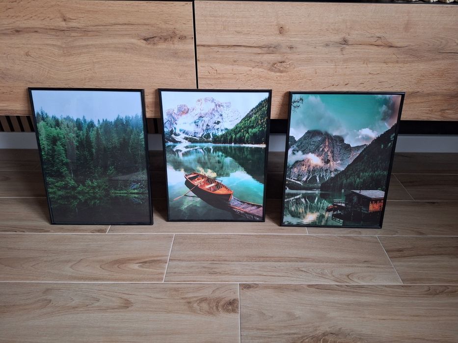 Witam serdecznie sprzedam obrazy