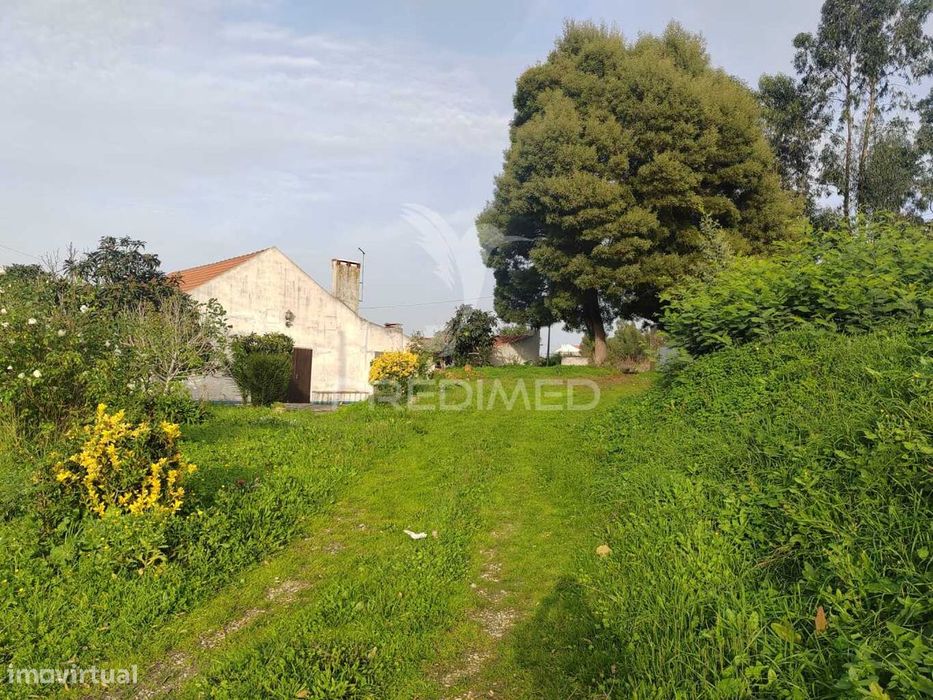 Quintinha / Terreno com  23000m2  e moradia T3