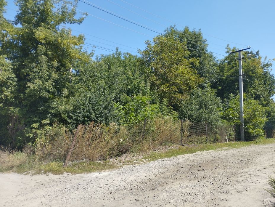 Продам будинок с. Мізоч