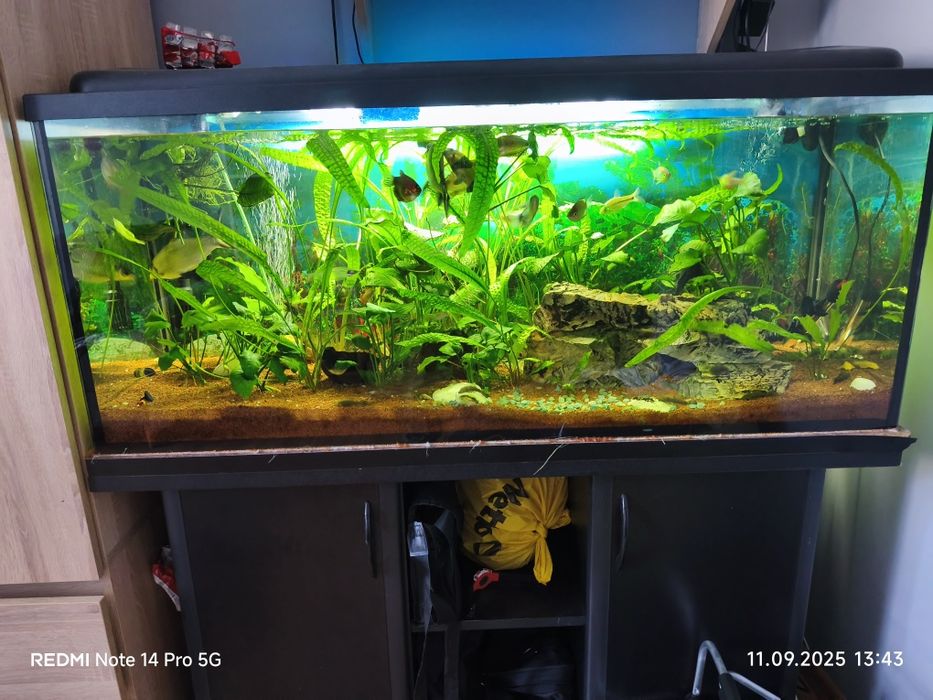 Akwarium 220l. Pokrywa