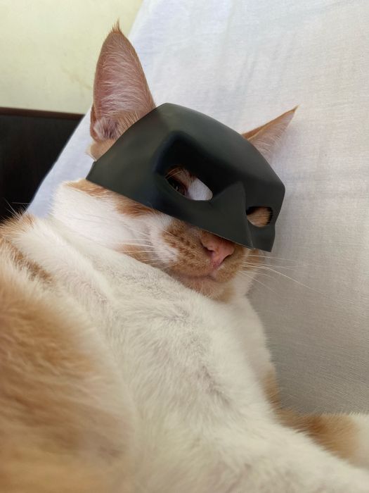 Маска бетмена для кота