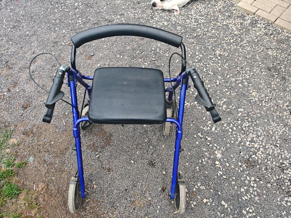 Codzik dla seniora