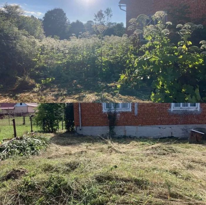 чистка ділянок, обрізка дерев