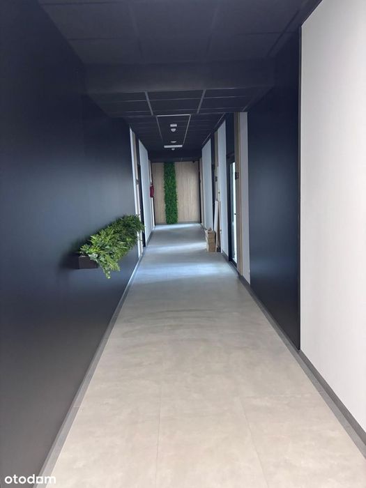 I piętro,77m2,vat23%,Religi 4