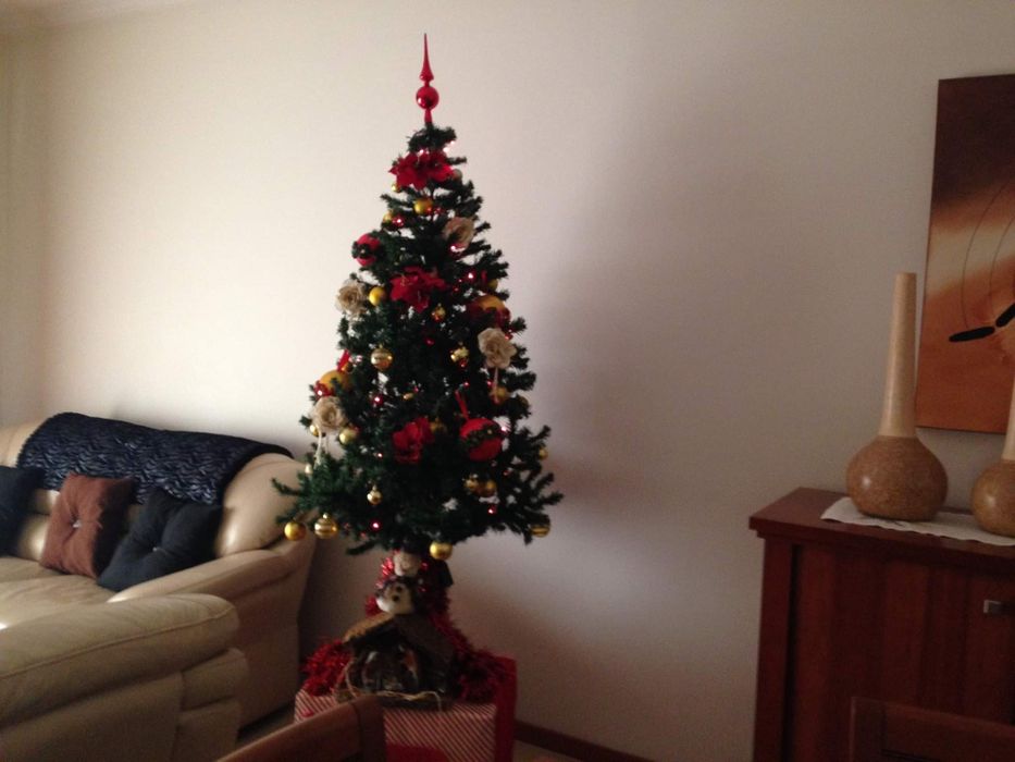 Pinheiro de Natal