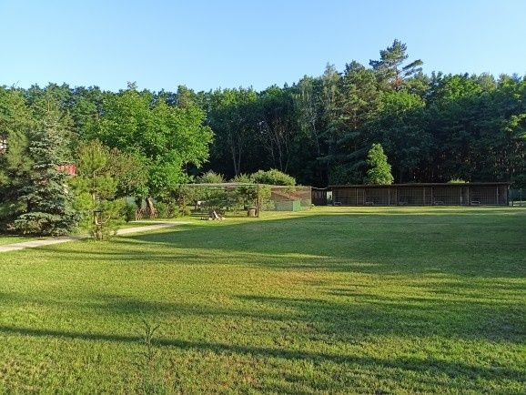 Hotel dla psów, kotów i zwierząt domowych