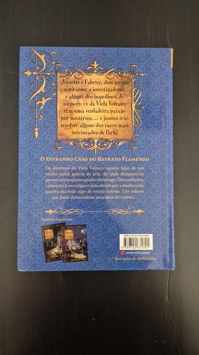 Livro " Os detetives da viela Voltaire "l