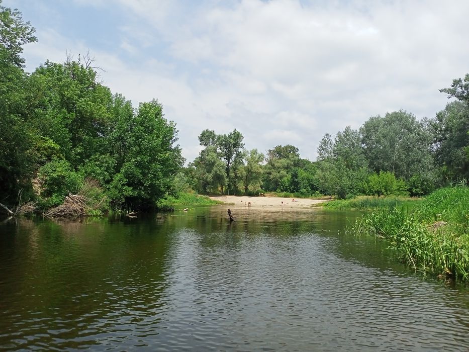 Подобово садиба біля Ворскли та лісу в Нових Санжарах