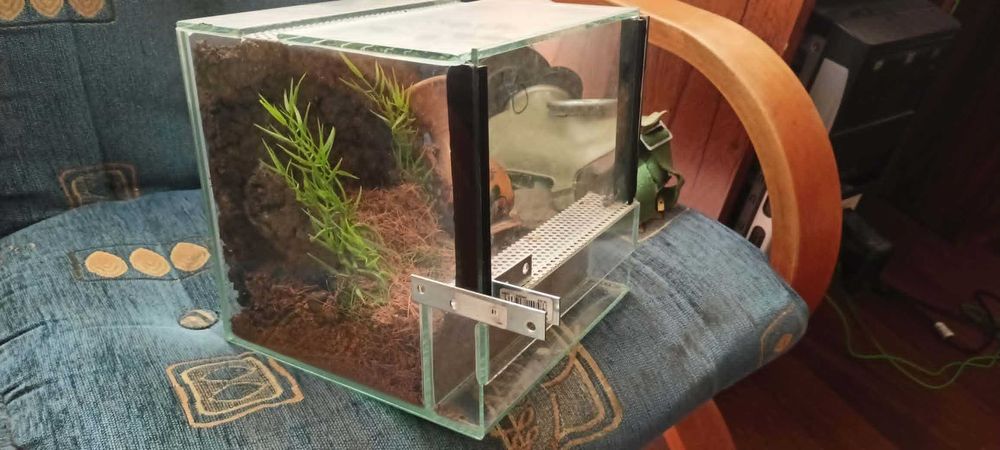 Terrarium 20x20x20