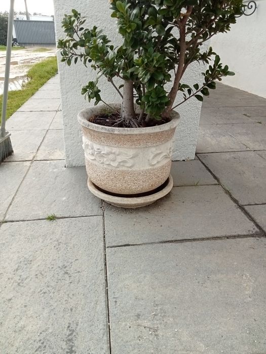 Vaso e Prato em Pedra