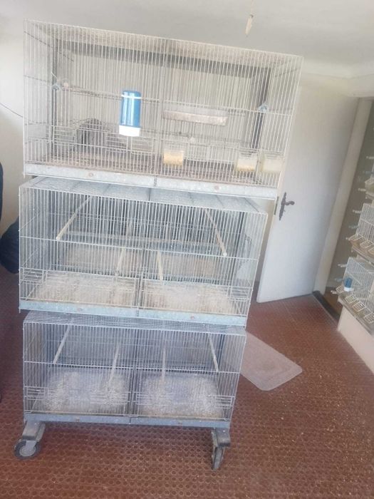 Armaçao em ferro para passaros