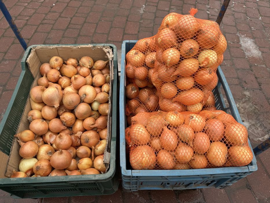 Cebula, selery,kasza gryczana