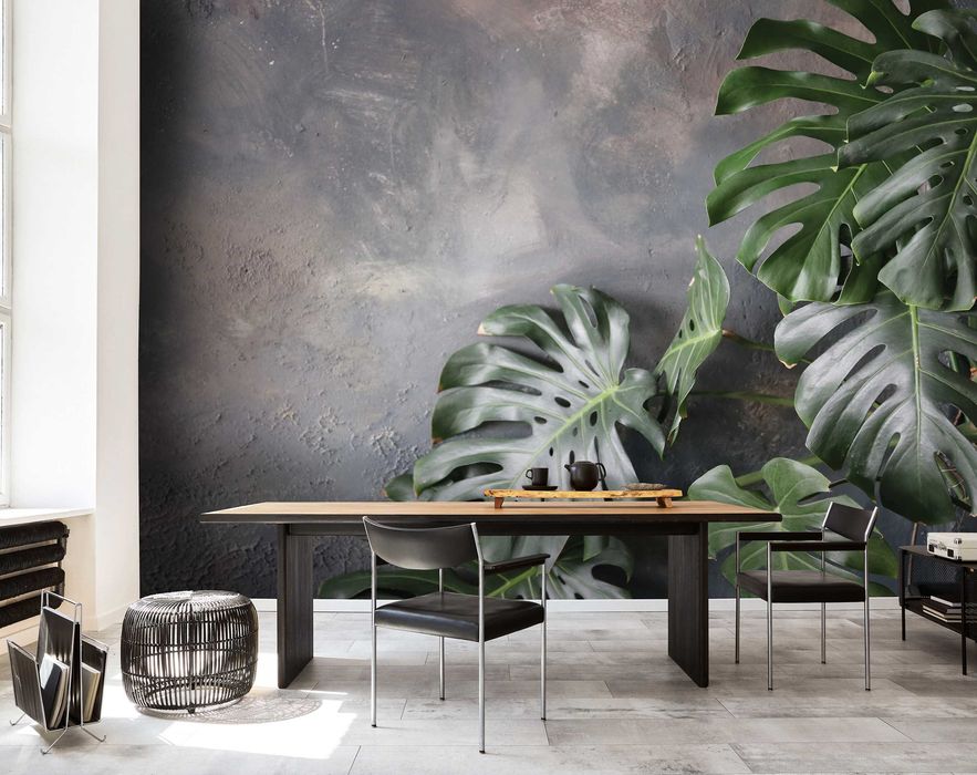 Fototapeta Liście Monstera Beton Do Pokoju 3D Na Twój Rozmiar + KLEJ