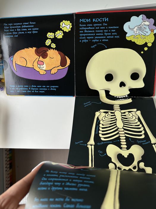 Книга «Мое тело», для малышей