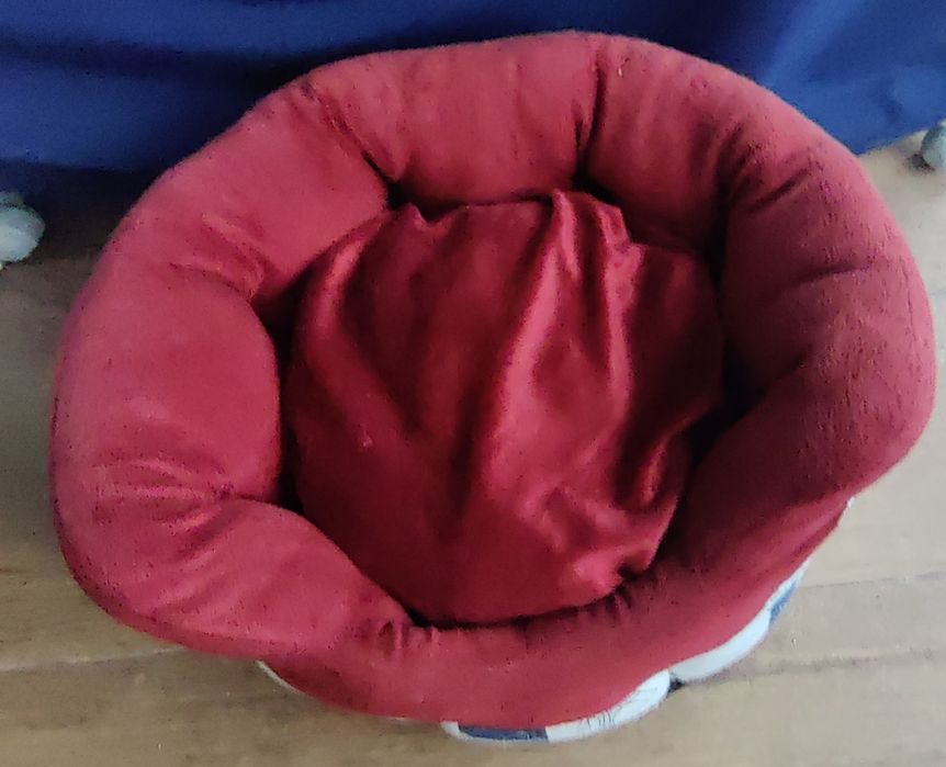 Cama para gato, em muito bom estado