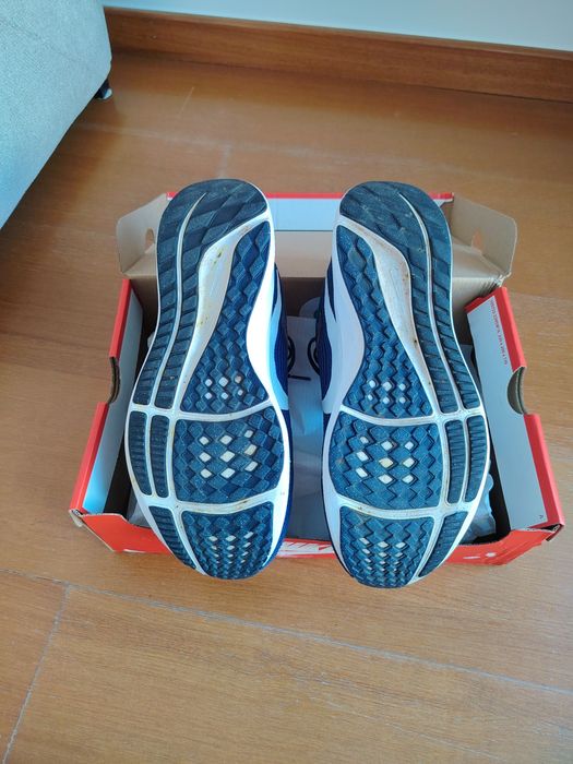 Sapatilhas Nike Pegasus 40