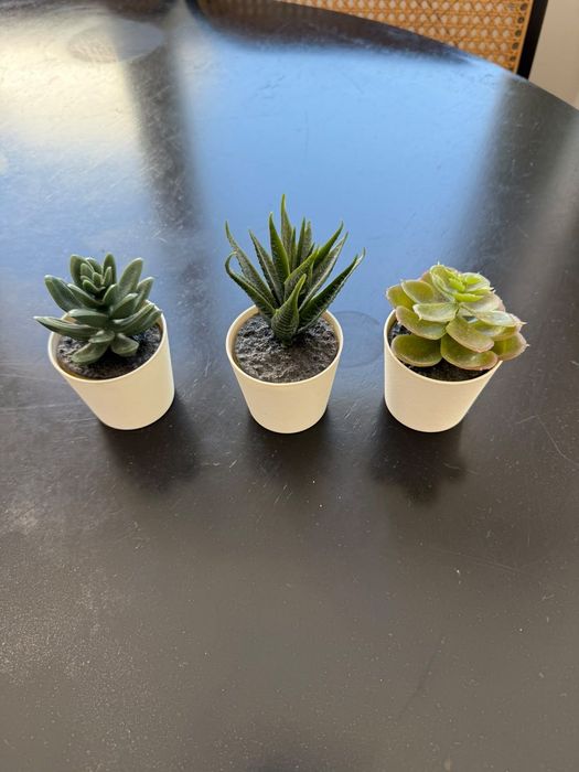 Conjunto de Mini Vasos Ikea